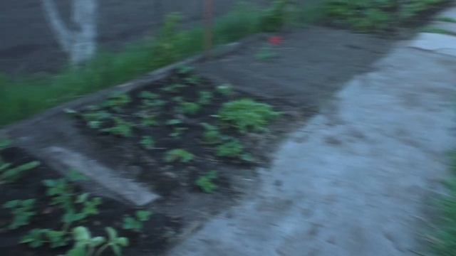 опять в огороде 29.05.2019 смотреть онлайн