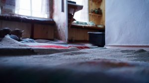 КАК ЖИВУТ ЛЮДИ В УРАЛЬСКОЙ ГЛУБИНКЕ | ЕДА ИЗ РУССКОЙ ПЕЧИ И УПРАВА ПО ХОЗЯЙСТВУ