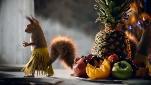 Белки танцуют в Новый Год.