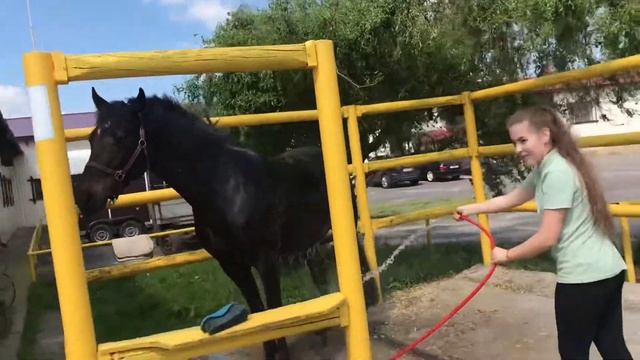 HORSE^ Завтрак с Петюшой. Очень вкусные панкейки с медом !!!!!!!!!!!!!!!!!!! смотреть онлайн