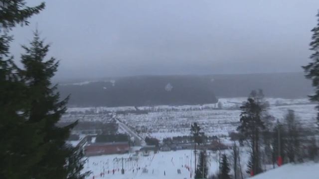 TERROR X ANTEATER Collab Board And Clothes. Коллаборация