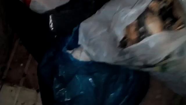 Tenerife первая находка еды на мусорке смотреть онлайн