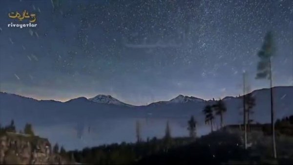 АЛЛОХНИНГ 99-ИСМИ