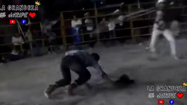 RANCHO EL GRANERO De Pancho Martínez смотреть онлайн