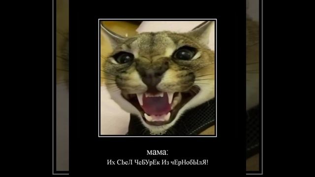 чебурек съел все пельмени !!! смотреть онлайн