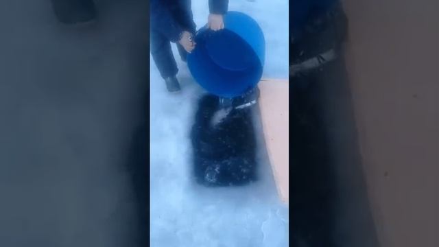 запуск форели смотреть онлайн