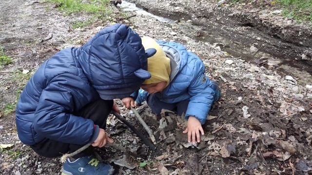 gemelli in cerca di insetti. Близнецы ищут жуков смотреть онлайн
