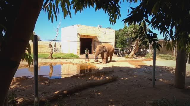 Зоопарк Пафос, Кипр, серия 1 смотреть онлайн