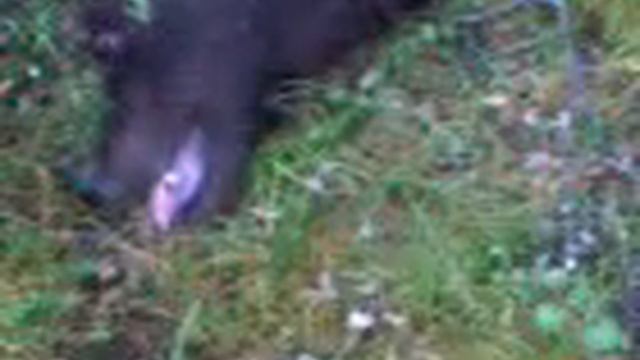 Алкаш Миша смотреть онлайн