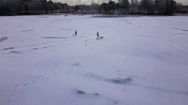 Pink Noisy X Irene - Does Anybody [moti] смотреть онлайн