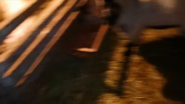 Новости "Моего Подворья" в феврале. смотреть онлайн