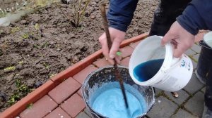 Бордоская жидкость для сада,рецепт приготовления.#бордоскаяжидкость#сад#рецепт#