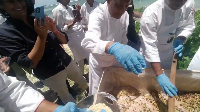 The Christmas Pudding Parade at Sofitel Mauritius 15th November 2022🎄🎉🇲🇺 смотреть онлайн