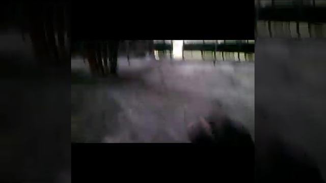 2 сталкера в Закамске смотреть онлайн