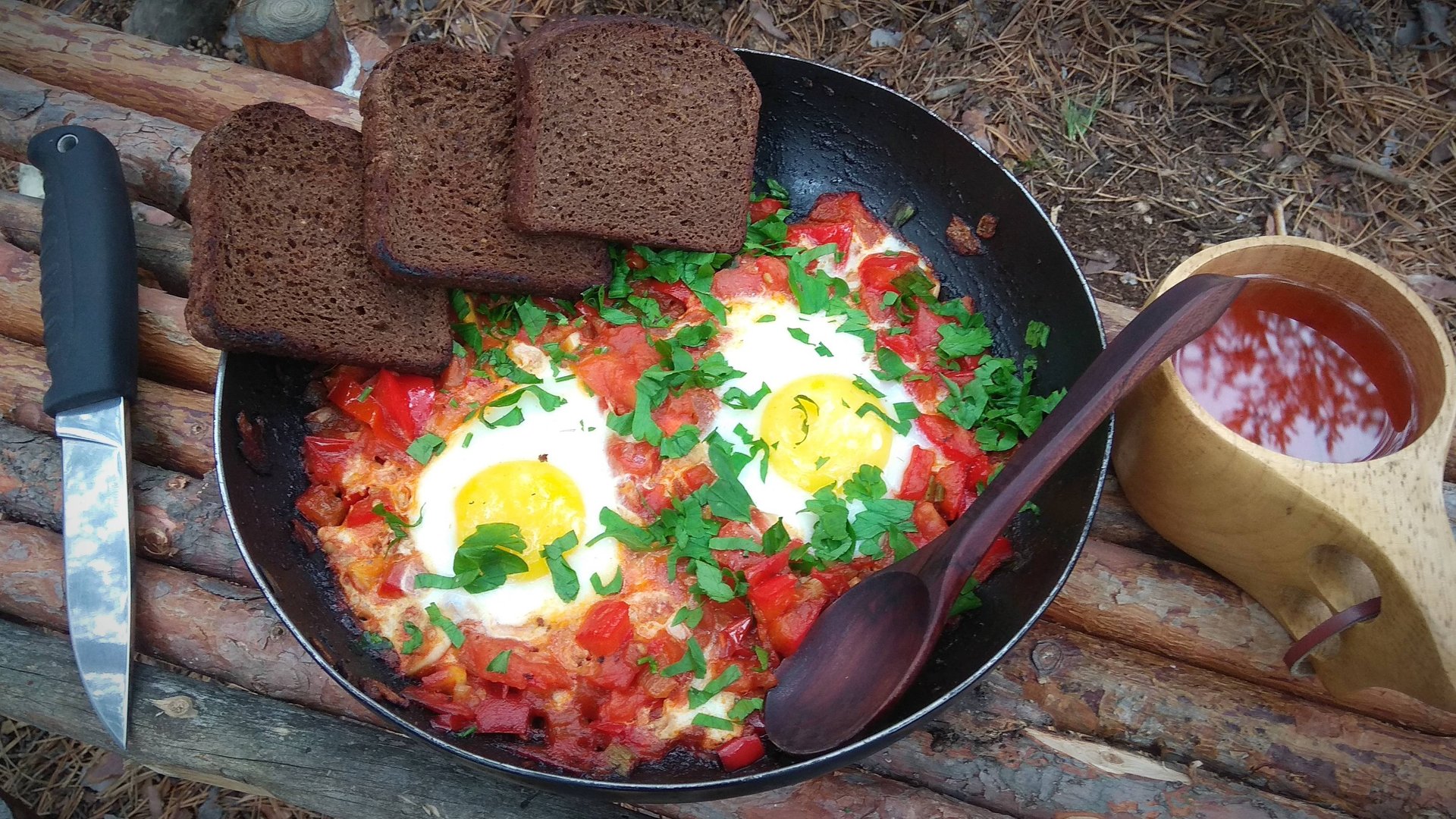 Однодневный поход. Лесная кухня: Шакшука. Бушкрафт.