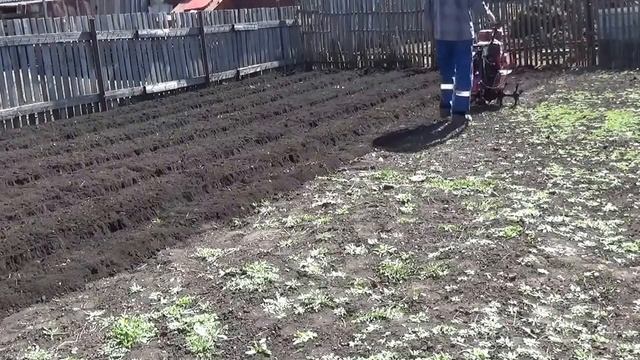 Вспашка огорода мотоблоком Каскад смотреть онлайн