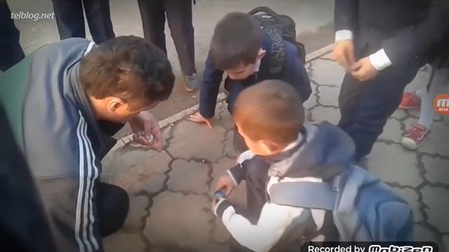 Школьники играют в фишки смотреть онлайн