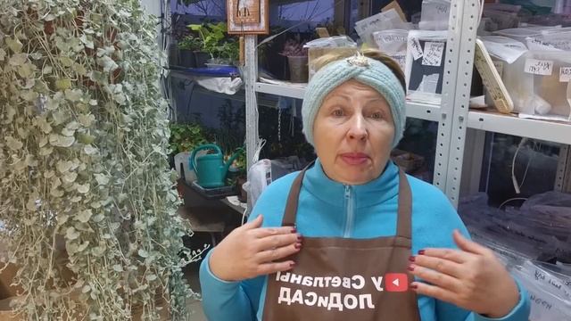 Какие средства НЕ работают от мышей. Опять борьба, прям настроение портится. смотреть онлайн