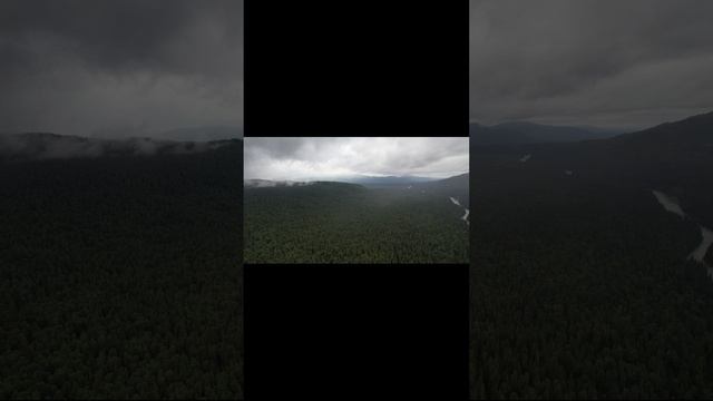 небольшие полеты и видео природы смотреть онлайн