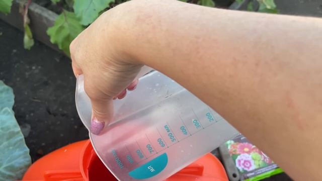 КАПУСТА БЕЗ ВРЕДИТЕЛЕЙ, помогают НАТУРАЛЬНЫЕ СРЕДСТВА! смотреть онлайн