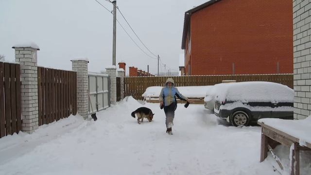 Какая послушная собака, Цезарь:) смотреть онлайн