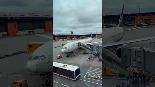 Картина за окном