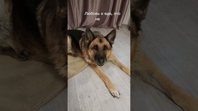 Атос все объяснит смотреть онлайн