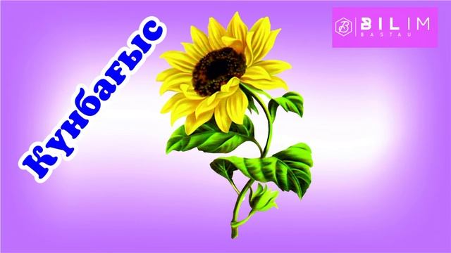 Бақшада не өседі. Көкөністер. 0-3 жастағы балалардың сөздік қорын молайту. Тіл дамыту. смотреть онлайн