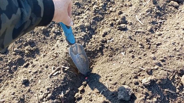 начали сеять кукурузу, 09.04.2024 смотреть онлайн