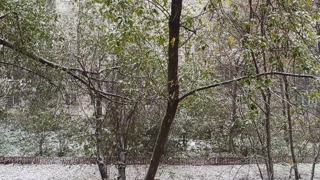полет снега и птицы смотреть онлайн