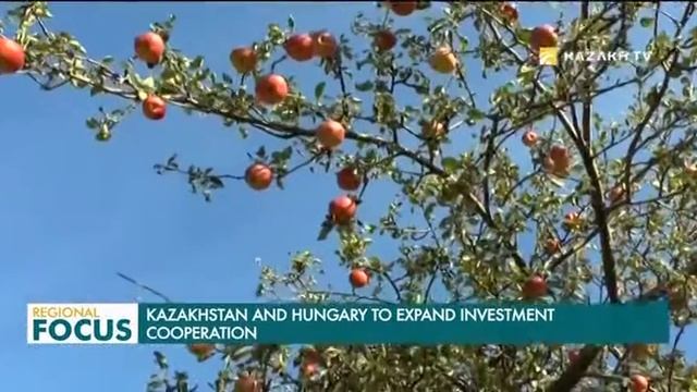 Казакстан жана Венгрия: Кызматташтык келечектери смотреть онлайн