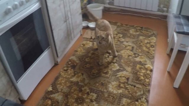 которыбалка/ как правильно ловить рыбу смотреть онлайн