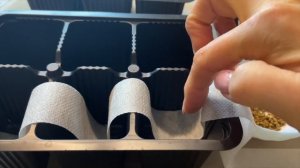 СРОЧНО СЕЮ эти КУЛЬТУРЫ в марте! Отличный способ!