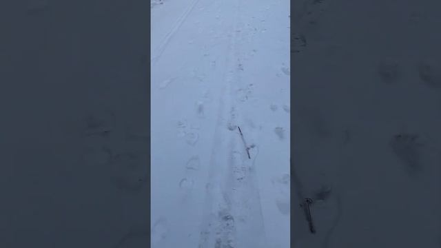 Абрикосовое варенье 2 серия смотреть онлайн