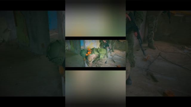 YouCut_20241027_032845349.mp4