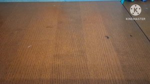 обзор на коллекцию DVD - дисков 6 часть (4 ремейк)