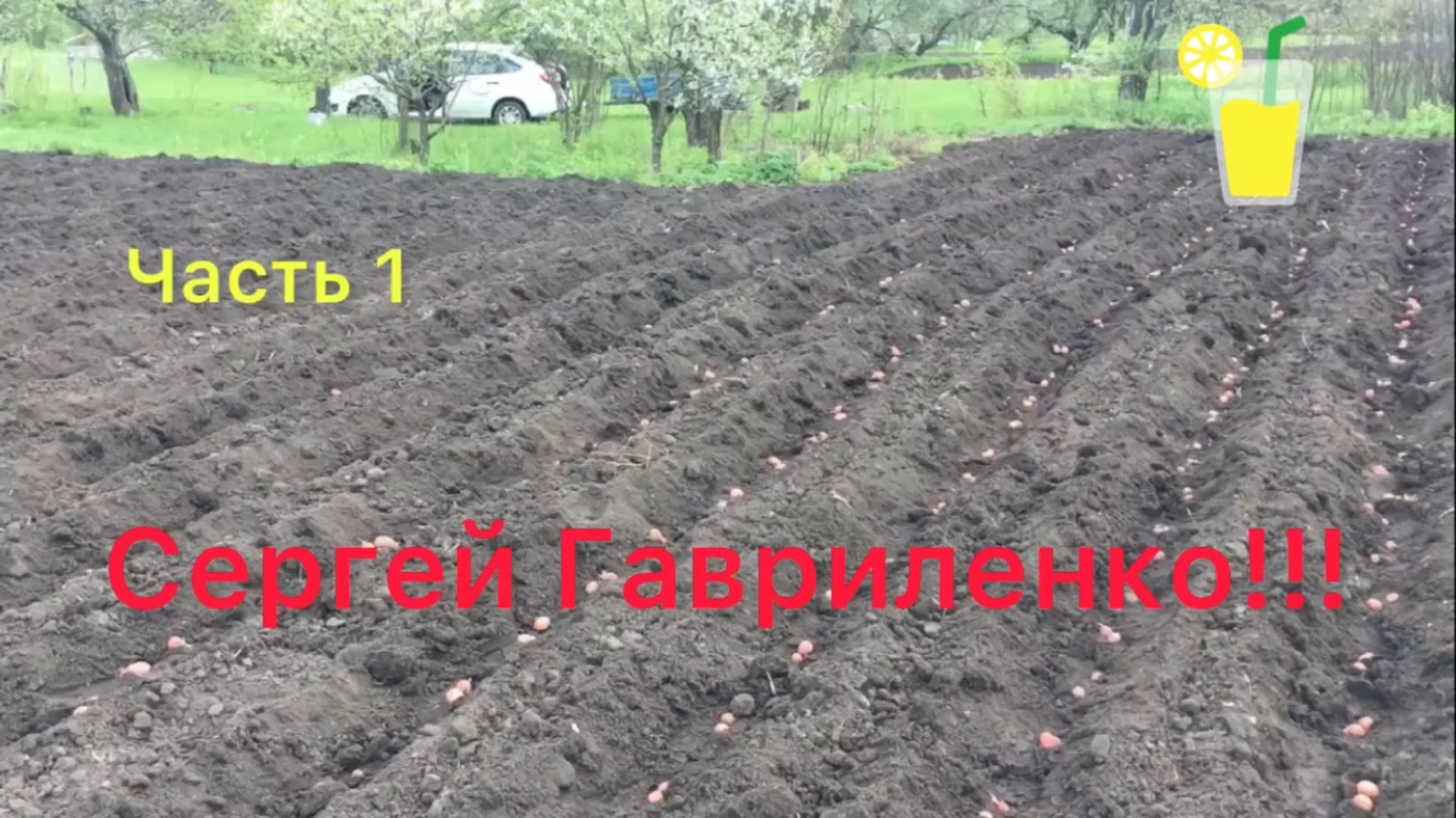 Часть 1 из3/ Самый простой способ посадки картофеля мотоблоком/ Как перевозить мотоблок в прицепе . смотреть онлайн