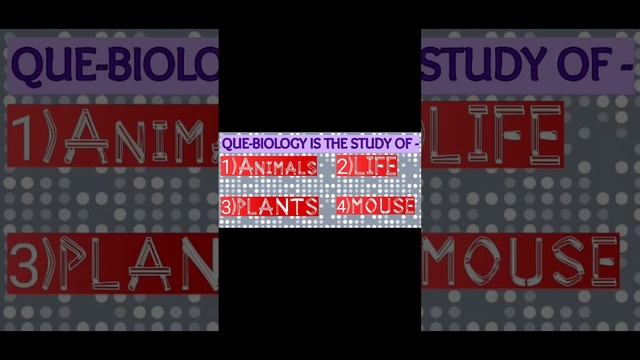 IMPORTANT QUESTIONS📚 смотреть онлайн