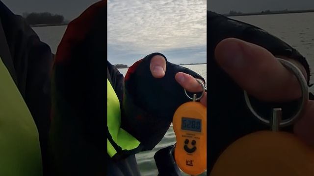 Взвешиваем трофей! БОЛЬШАЯ ЩУКА! #fishmir #рыбалка #fishing #поймалотпусти #рыбамоеймечты смотреть онлайн