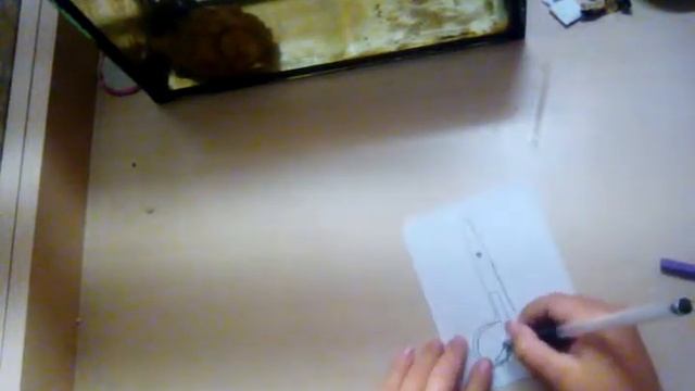 Как нарисовать ножницы смотреть онлайн