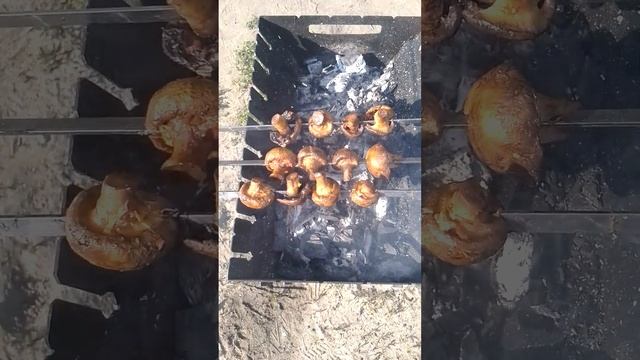Шампиньёны на мангале смотреть онлайн