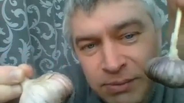 Геннадий Горин показывает чеснок по вебке 30 мая 2016 смотреть онлайн