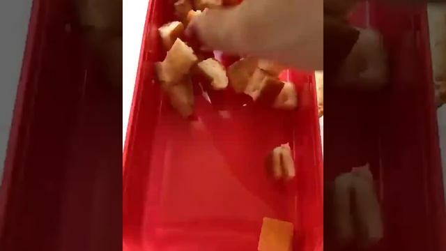 Ну Очень Вкусный ТРАЙФЛ с Ягодами #shorts #вкусныерецепты #готовимдома #безвыпечки смотреть онлайн
