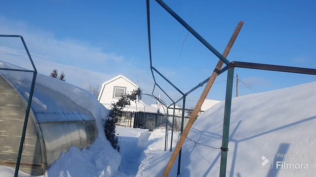 196. Зима 2024. Березовый деготь от мышей на даче. смотреть онлайн