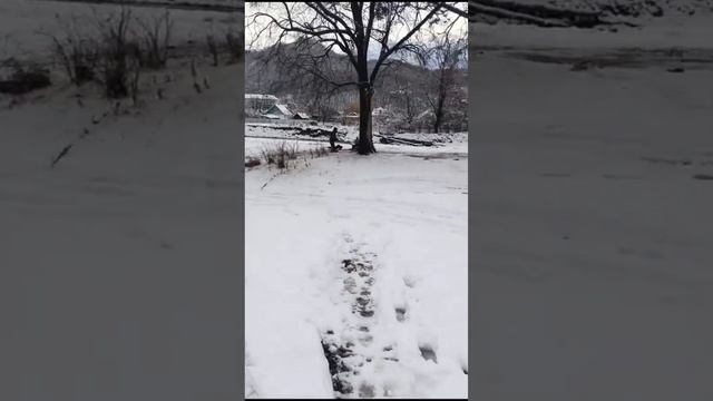 Первый выезд на мотоблоке с гусеницами крутец. Отзыв нашего покупателя #гусеницы #крутец смотреть онлайн