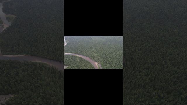 небольшие полеты и видео природы смотреть онлайн