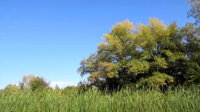 Прогулянка на Зелений острів. смотреть онлайн