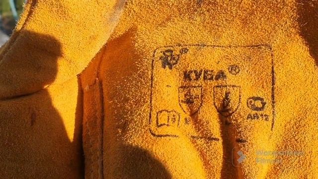 183. Виноград столовые сорта укрыл. Розы обрезал, к зиме приготовил. смотреть онлайн