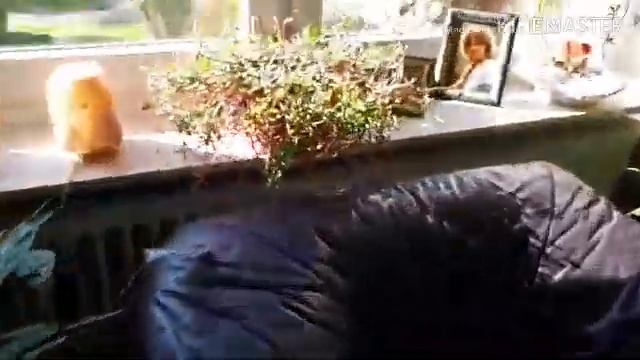 Влог ВТОРНИК 09.04.2019 на дворе +17 " Короткий, забытый влог " 13.04.2019 смотреть онлайн