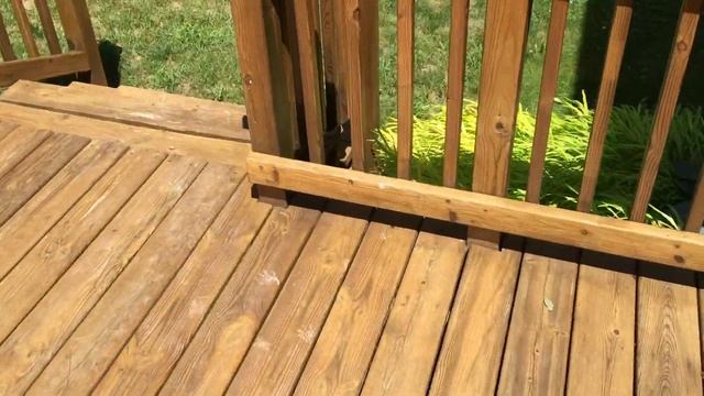 We have a friendly woodchuck to report to Cinnabon смотреть онлайн